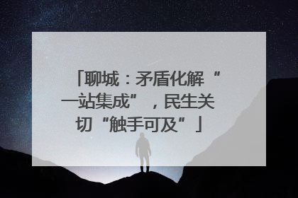 聊城：矛盾化解“一站集成”，民生关切“触手可及”