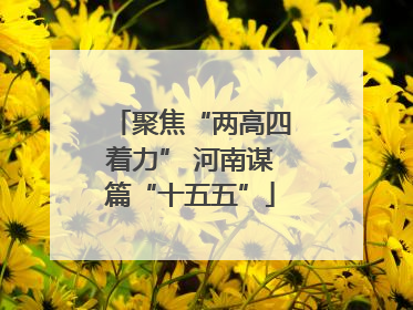 聚焦“两高四着力” 河南谋篇“十五五”