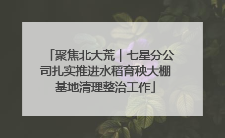 聚焦北大荒｜七星分公司扎实推进水稻育秧大棚基地清理整治工作