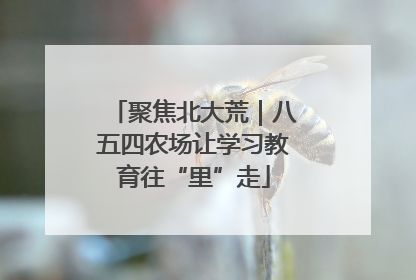 聚焦北大荒｜八五四农场让学习教育往“里”走