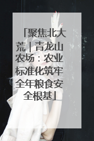 聚焦北大荒｜青龙山农场：农业标准化筑牢全年粮食安全根基
