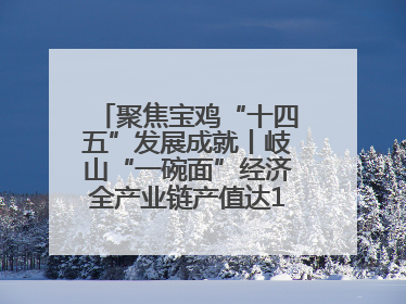 聚焦宝鸡“十四五”发展成就丨岐山“一碗面”经济全产业链产值达162亿元 入选全国典型县