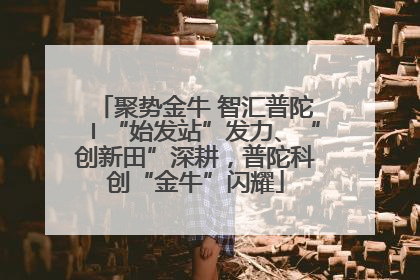 聚势金牛 智汇普陀〡“始发站”发力、“创新田”深耕，普陀科创“金牛”闪耀