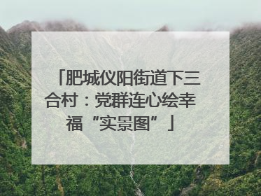 肥城仪阳街道下三合村：党群连心绘幸福“实景图”