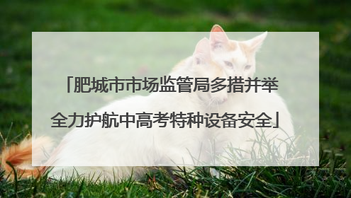 肥城市市场监管局多措并举 全力护航中高考特种设备安全