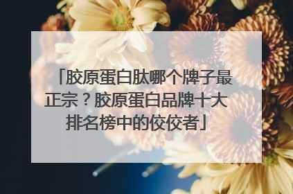 胶原蛋白肽哪个牌子最正宗？胶原蛋白品牌十大排名榜中的佼佼者