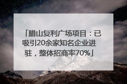 腊山复利广场项目：已吸引20余家知名企业进驻，整体招商率70%