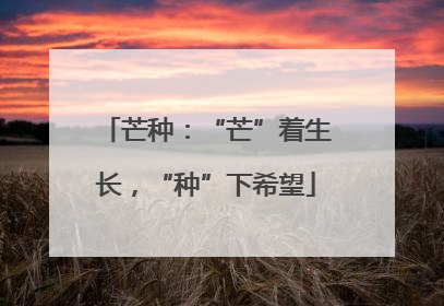 芒种：“芒”着生长，“种”下希望