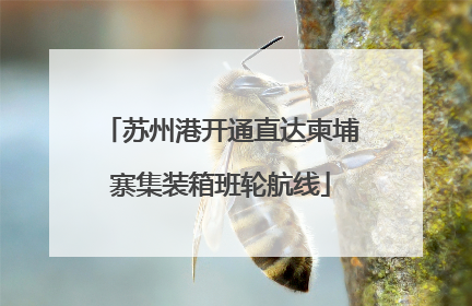 苏州港开通直达柬埔寨集装箱班轮航线