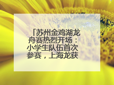 苏州金鸡湖龙舟赛热烈开场：小学生队伍首次参赛，上海龙获国际组冠亚军