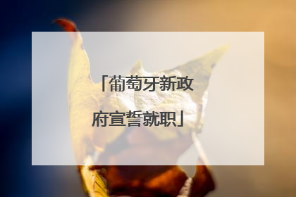 葡萄牙新政府宣誓就职