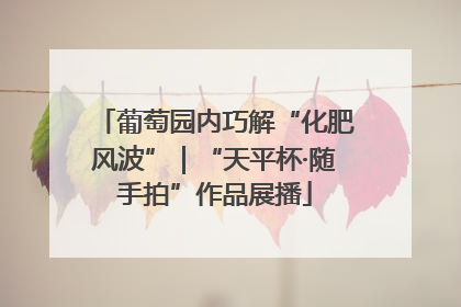 葡萄园内巧解“化肥风波”｜“天平杯·随手拍”作品展播