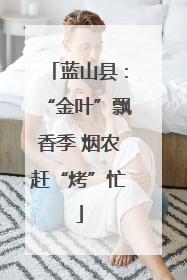 蓝山县：“金叶”飘香季 烟农赶“烤”忙