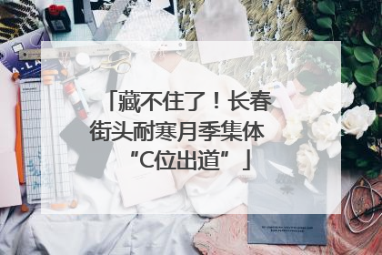 藏不住了！长春街头耐寒月季集体“C位出道”