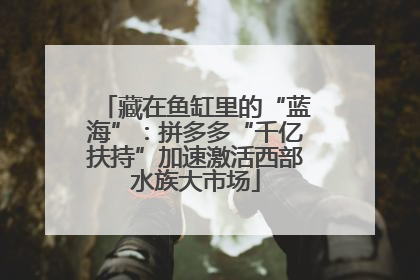藏在鱼缸里的“蓝海”：拼多多“千亿扶持”加速激活西部水族大市场
