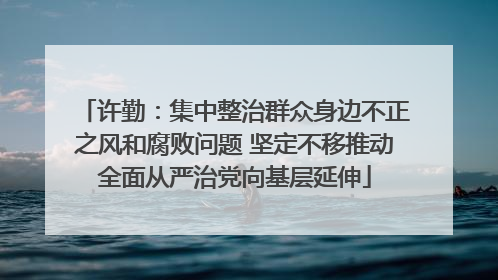 许勤：集中整治群众身边不正之风和腐败问题 坚定不移推动全面从严治党向基层延伸