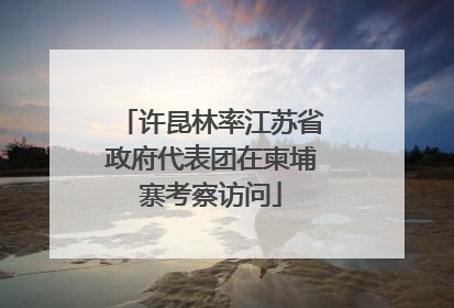 许昆林率江苏省政府代表团在柬埔寨考察访问
