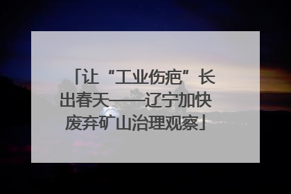 让“工业伤疤”长出春天——辽宁加快废弃矿山治理观察