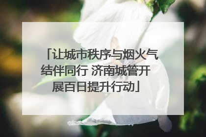 让城市秩序与烟火气结伴同行 济南城管开展百日提升行动