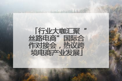 行业大咖汇聚“丝路电商”国际合作对接会，热议跨境电商产业发展