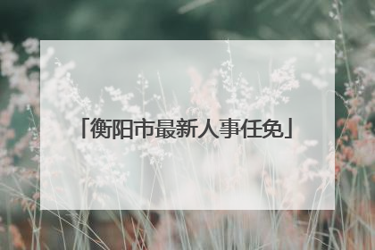 衡阳市最新人事任免