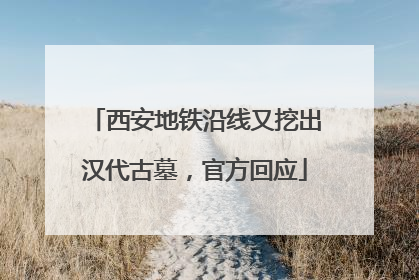 西安地铁沿线又挖出汉代古墓，官方回应