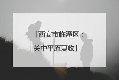 西安市临潼区：关中平原夏收