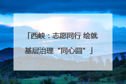 西峡：志愿同行 绘就基层治理“同心圆”