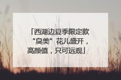 西湖边夏季限定款“臭美”花儿盛开，高颜值，只可远观