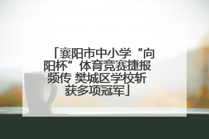 襄阳市中小学“向阳杯”体育竞赛捷报频传 樊城区学校斩获多项冠军