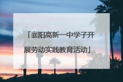 襄阳高新一中学子开展劳动实践教育活动
