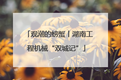 观潮的螃蟹丨湖南工程机械“双城记”