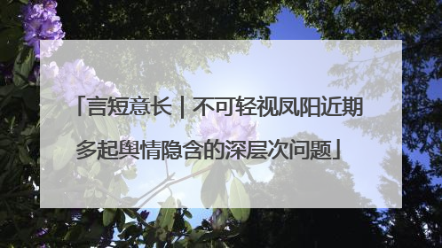 言短意长｜不可轻视凤阳近期多起舆情隐含的深层次问题