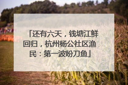 还有六天，钱塘江鲜回归，杭州杨公社区渔民：第一波盼刀鱼