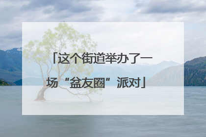 这个街道举办了一场“盆友圈”派对