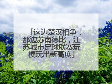 这边楚汉相争，那边苏南德比，江苏城市足球联赛玩梗玩出新高度