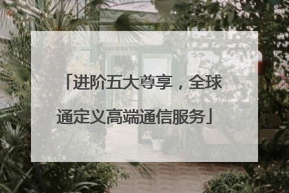 进阶五大尊享，全球通定义高端通信服务