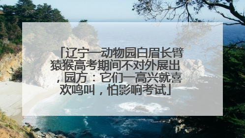 辽宁一动物园白眉长臂猿猴高考期间不对外展出，园方：它们一高兴就喜欢鸣叫，怕影响考试