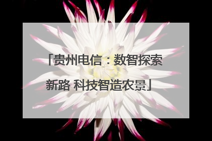 贵州电信：数智探索新路 科技智造农景