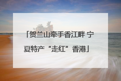 贺兰山牵手香江畔 宁夏特产“走红”香港