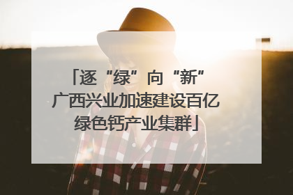 逐“绿”向“新” 广西兴业加速建设百亿绿色钙产业集群