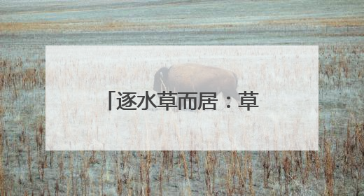 逐水草而居：草原上的迁徙之路