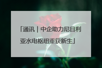 通讯｜中企助力尼日利亚水电枢纽重获新生