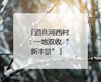 道真河西村：一地双收“新丰景”