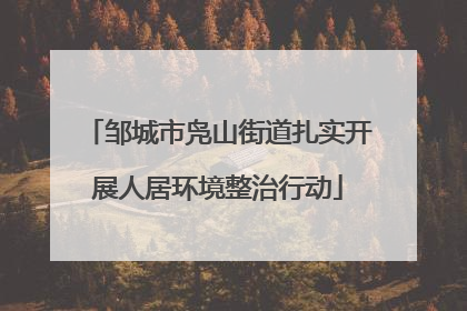邹城市凫山街道扎实开展人居环境整治行动
