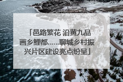 邑路繁花 沿黄九品 画乡鲤都……聊城乡村振兴片区建设亮点纷呈