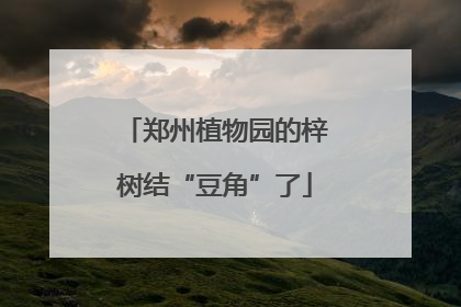 郑州植物园的梓树结“豆角”了