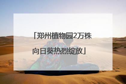 郑州植物园2万株向日葵热烈绽放