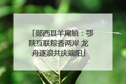 郧西县羊尾镇：鄂陕互联粽香两岸 龙舟逐浪共庆端阳