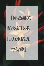郧西县关防乡新技术助力水稻抗旱保收